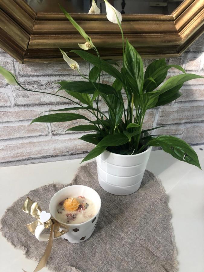 Casa Nonna Elide Appartement Besozzo Buitenkant foto